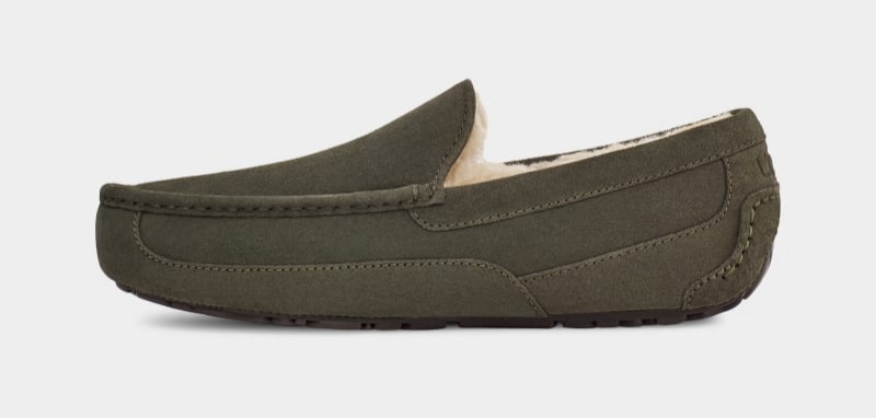 Khaki Men's Ugg Ascot Slippers | India-4130258