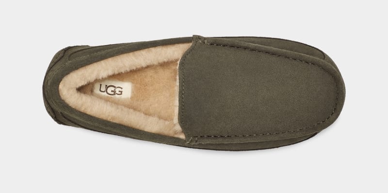 Khaki Men's Ugg Ascot Slippers | India-4130258