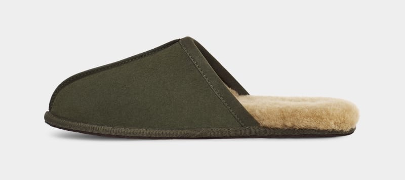 Khaki Men's Ugg Scuff Slippers | India-6029347