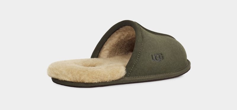 Khaki Men's Ugg Scuff Slippers | India-6029347