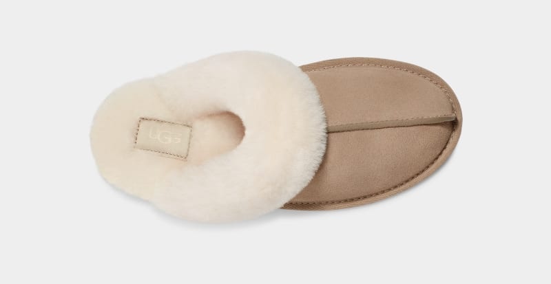 Mustard / Beige Women's Ugg Scuffette Ii Slippers | India-9473285