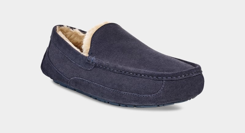 Navy Men's Ugg Ascot Slippers | India-1769340