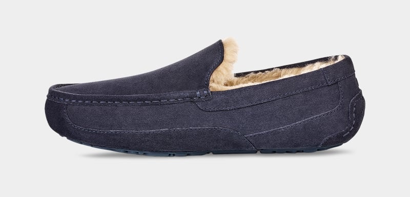 Navy Men's Ugg Ascot Slippers | India-1769340