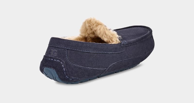 Navy Men's Ugg Ascot Slippers | India-1769340