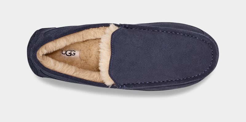 Navy Men's Ugg Ascot Slippers | India-1769340