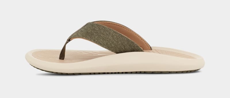 Olive / Grey Brown Men's Ugg Brookside Ii Flip Canvas Sandals | India-1760485