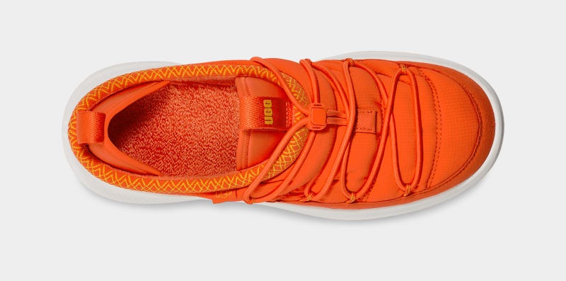 Orange / Lemon Men's Ugg Ca78 Tasman Sneakers | India-1689053