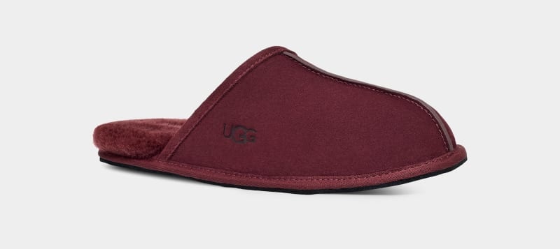 Purple Men's Ugg Scuff Slippers | India-1062458