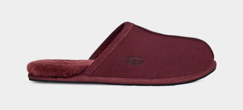 Purple Men\'s Ugg Scuff Slippers | India-1062458