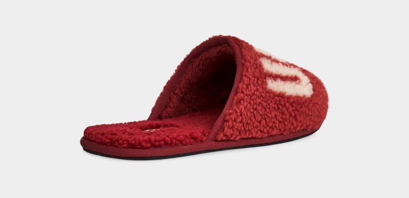 Red Burgundy Men's Ugg Scuff Curly Graphic Slippers | India-2617984